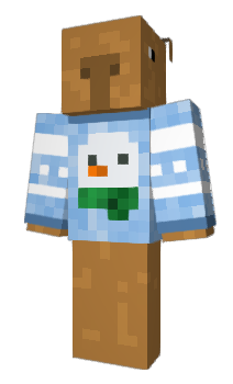 Minecraft skin zCot