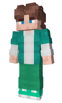 Minecraft skin wellchik