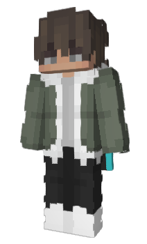 Minecraft skin Bartopi