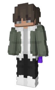 Minecraft skin Bartopi