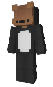 Minecraft skin s4ng