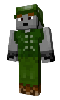 Minecraft skin Comp2013