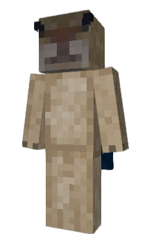 Minecraft skin Tjuv