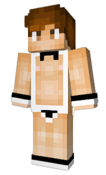 Minecraft skin agoras