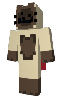 Minecraft skin d9sh