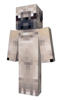 Minecraft skin Apocalipsi