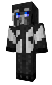 Minecraft skin Panhda