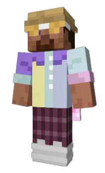 Minecraft skin xBricksy