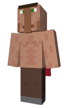 Minecraft skin ccet