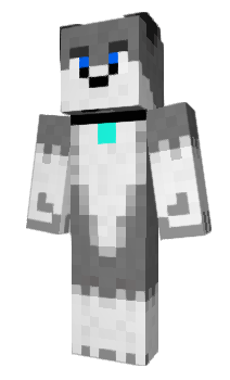 Minecraft skin slidedog