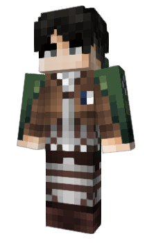 Minecraft skin DrZoo