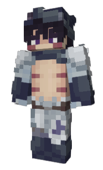 Minecraft skin dividedd