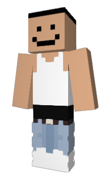 Minecraft skin Swrft