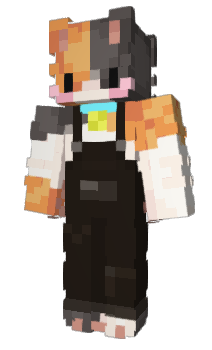 Minecraft skin xiaofangbao