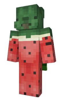 Minecraft skin Zaib