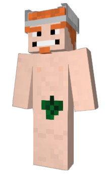 Minecraft skin Beerstealer