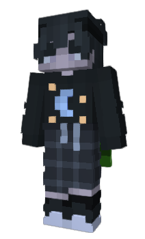 Minecraft skin sanng