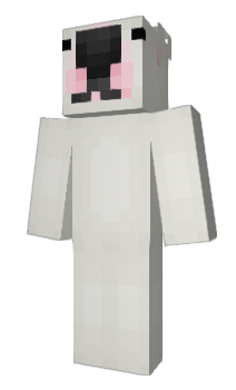 Minecraft skin MR28