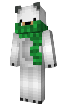 Minecraft skin R134