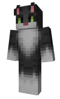 Minecraft skin Corecore