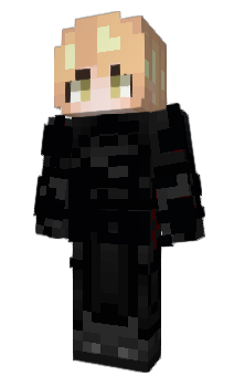 Minecraft skin ChampionArkiee