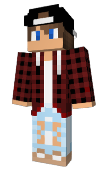 Minecraft skin 1871