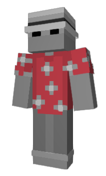 Minecraft skin zwxc
