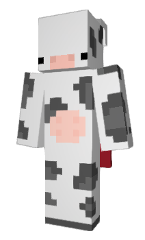 Minecraft skin stesy