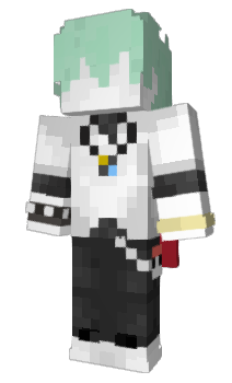 Minecraft skin _web