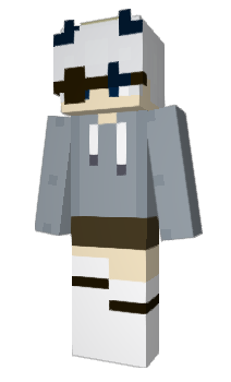 Minecraft skin ECVE