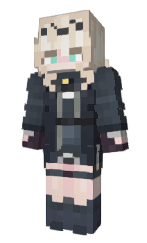Minecraft skin HEROESNeo