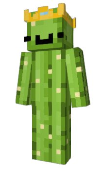 Minecraft скін по ніку IkrazY443