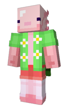 Minecraft skin zit4