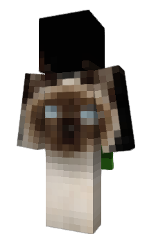 Minecraft skin Toybob