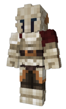 Minecraft skin paxlibi