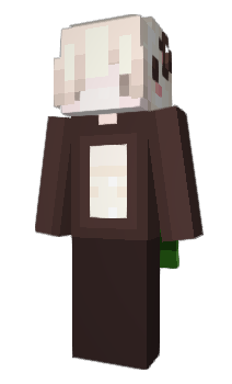 Minecraft skin bugy