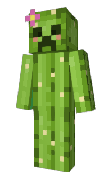 Minecraft skin Soupysoup