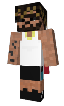 Minecraft skin solsad