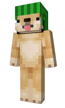 Minecraft skin broooooooooooo