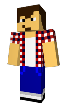 Minecraft скин по нику IPv6