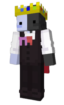 Minecraft skin Tjokis