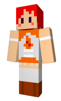 Minecraft skin Metast