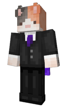 Minecraft skin CattDmolester