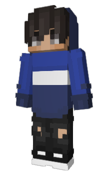 Minecraft skin pro006
