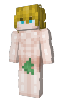 Minecraft скин по нику Seskr