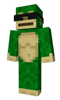 Minecraft skin PartyAnimal