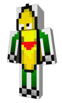 Minecraft skin PolarExpress