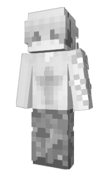 Minecraft skin boxcer
