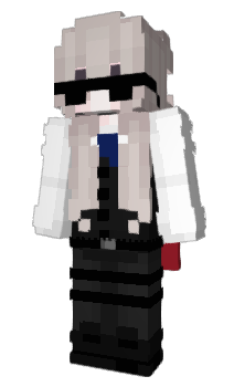 Minecraft skin wFly