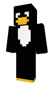 Minecraft skin CAMARM
